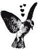 a bird